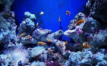 Bristol Aquarium