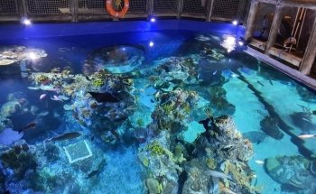 Bristol Aquarium