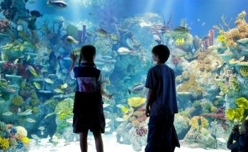 Bristol Aquarium
