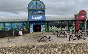 SEA LIFE Hunstanton