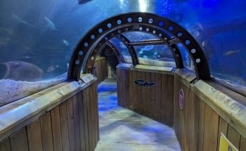 SEA LIFE Hunstanton