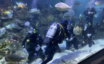 Skegness Aquarium