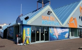 Sealife Adventure
