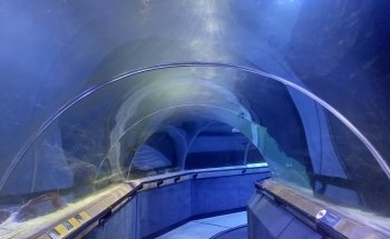 Deep Sea World