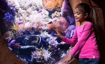 SEA LIFE Manchester