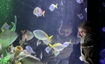 SEA LIFE Manchester