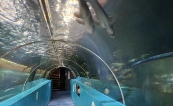 Lakes Aquarium