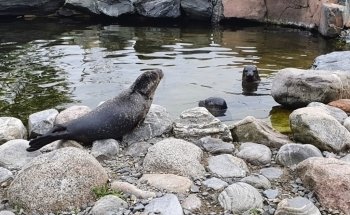 Exploris Aquarium