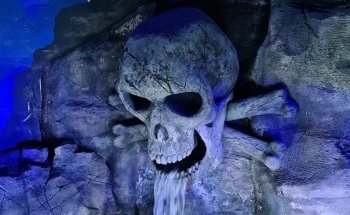 Exploris Aquarium