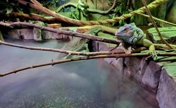 Exploris Aquarium