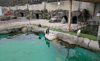 Exploris Aquarium