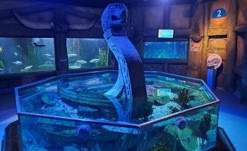 Exploris Aquarium