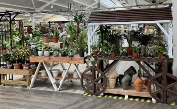 Ansell Garden Centre