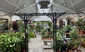 Ansell Garden Centre