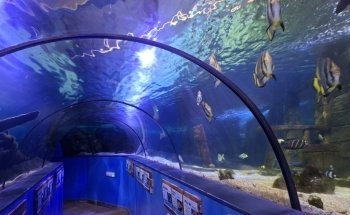 Hastings Aquarium