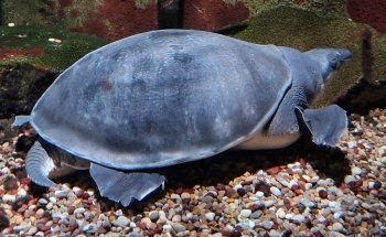 Hastings Aquarium