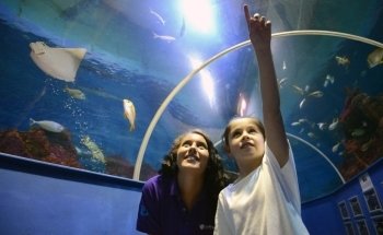 Tynemouth Aquarium