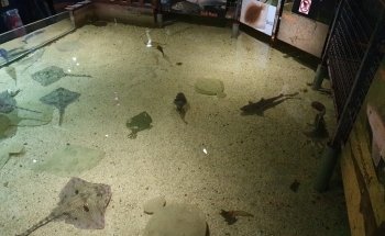Lake District Coast Aquarium, Maryport