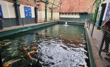 Matlock Bath Aquarium and arcade