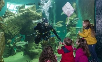 Macduff Marine Aquarium