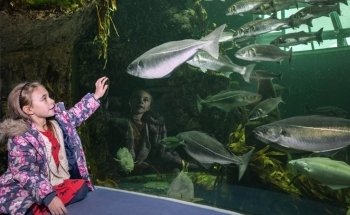 Macduff Marine Aquarium