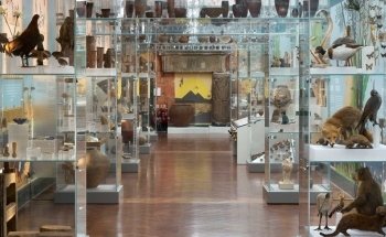 Bolton Museum, Aquarium and Archive