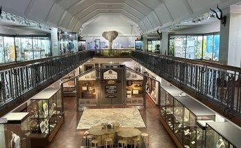 Bolton Museum, Aquarium and Archive