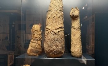 Bolton Museum, Aquarium and Archive