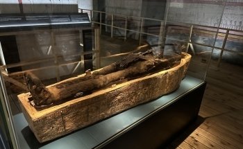 Bolton Museum, Aquarium and Archive