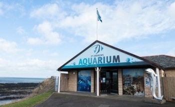St Andrews Aquarium