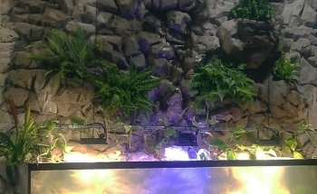 Wet Fish