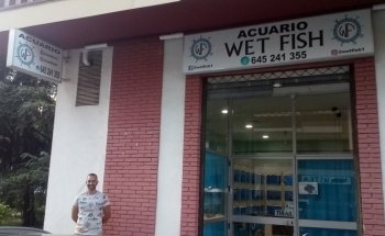 Wet Fish