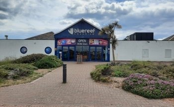 Blue Reef Aquarium Portsmouth