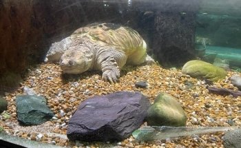 Blue Reef Aquarium Portsmouth