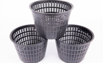 Lincolnshire Pond Plants Ltd