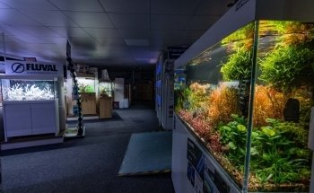 Ings Lane Garden & Water Garden Centre