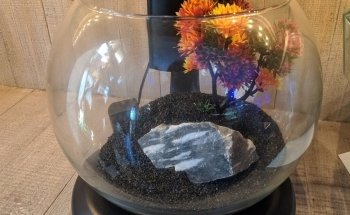 Waterworld Aquatics