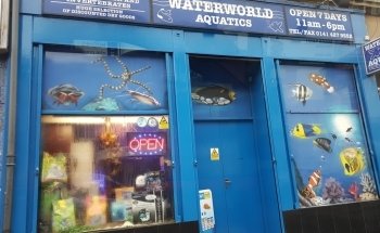 Waterworld Aquatics