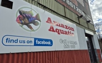 Amazon Aquatics