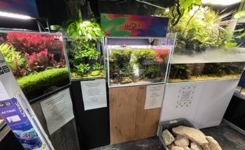 The Aquatic Store