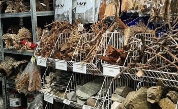 The Aquatic Store
