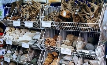 The Aquatic Store