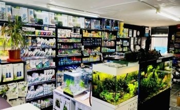 The Aquatic Store
