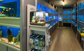Lynchford Aquatics