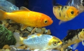 Hastings Reptile & Aquatic Centre