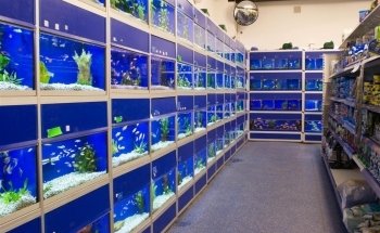 Hastings Reptile & Aquatic Centre