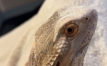 Hastings Reptile & Aquatic Centre