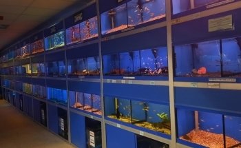 Aquamania Superstore