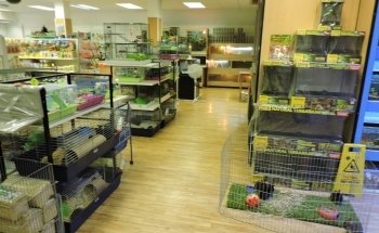 Bretts Pets