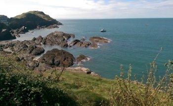 The Ilfracombe Aquarium
